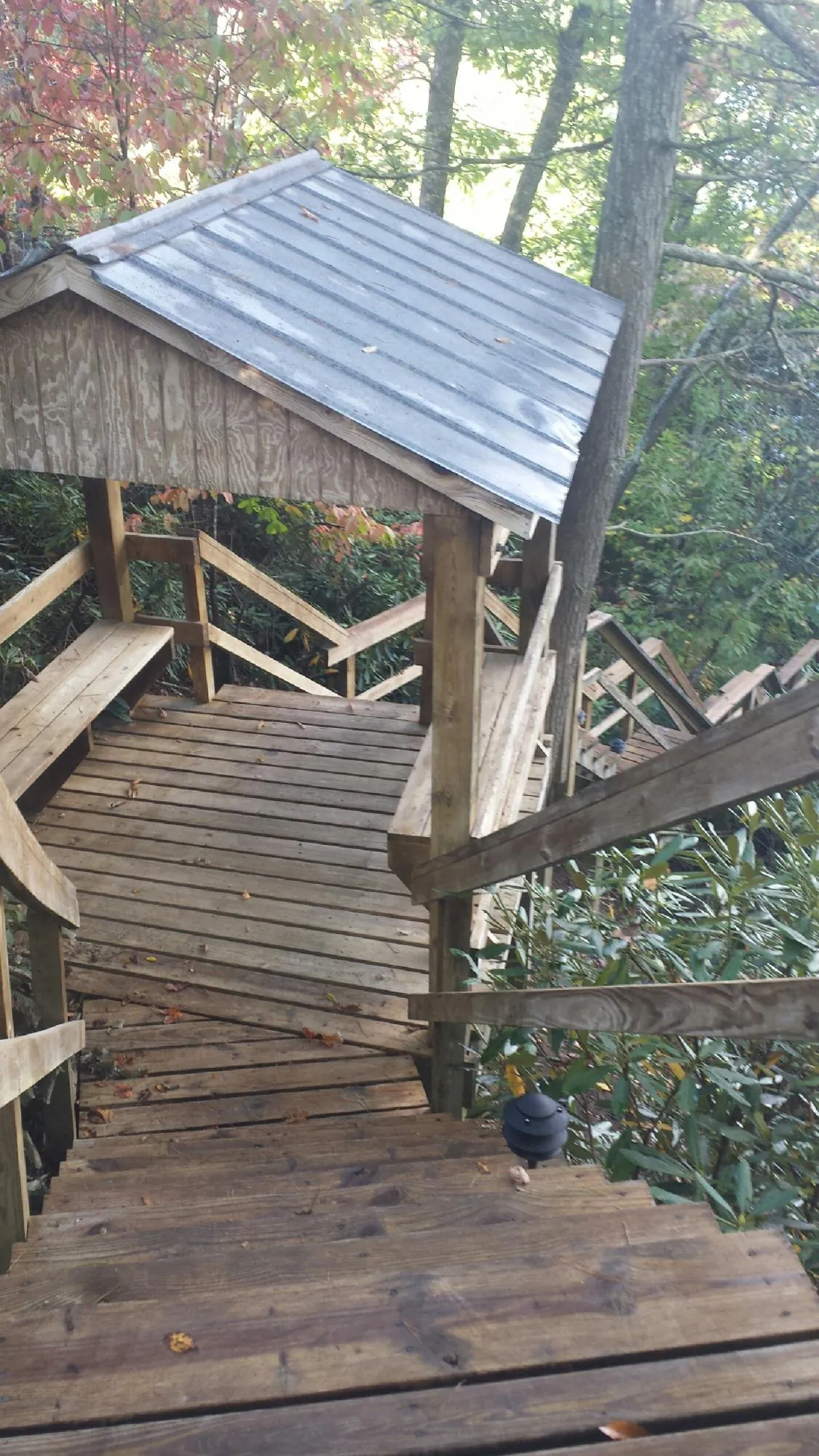 Metal roofed shelter over wooden steps on a wooded walkway — Skylight Repair & Installation work by our crew in Saline